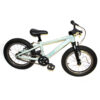 Small EVO Mountain Bike (Toddler)
