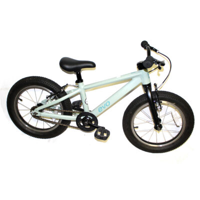 Small EVO Mountain Bike (Toddler)