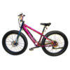 Hyper Bike Co. Electric Bike