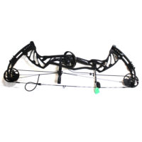 Hoyt Pro Defiant Bow