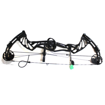 Hoyt Pro Defiant Bow