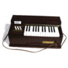 Electric Chord Organ