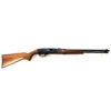 Winchester Model 190 22
