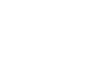 logo white transp (2)