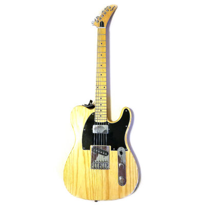 Epiphone T310