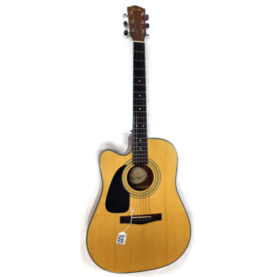 Fender Left-Handed Acoustic